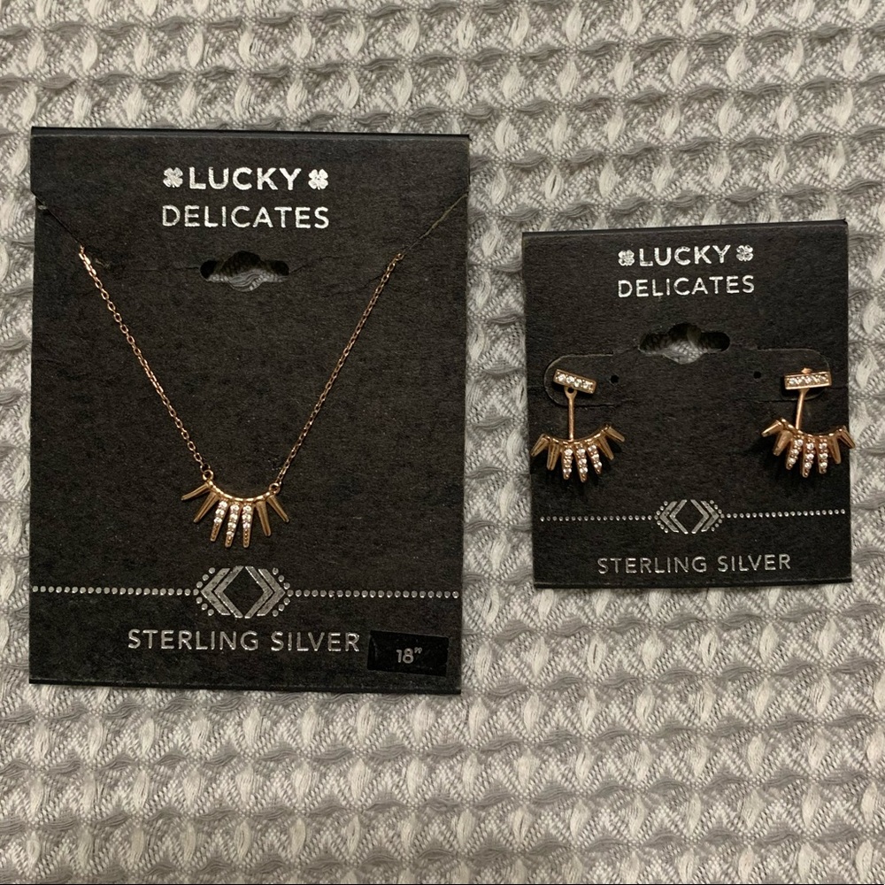 Rose Gold Delicates Set